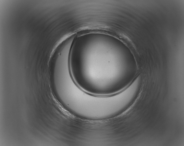 X0000067491114200604211652