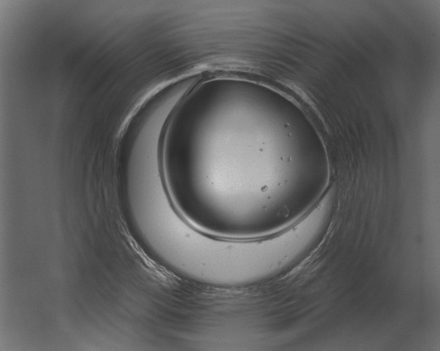 X0000067491115200604211652