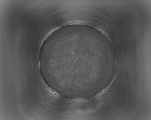 X0000067491117200604211652