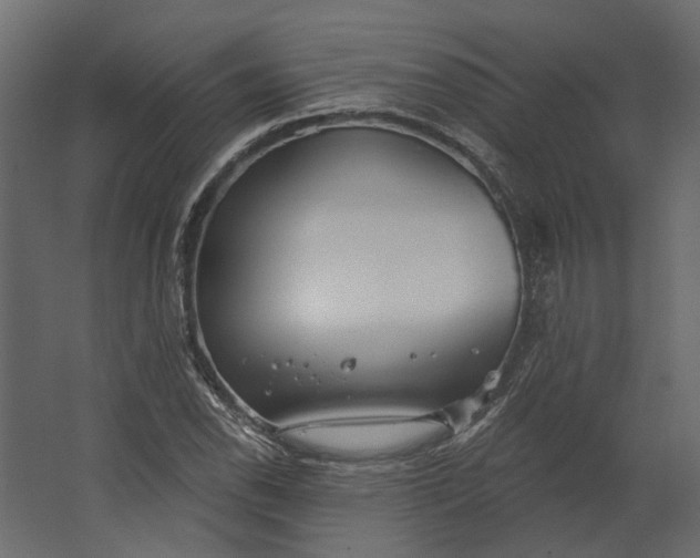 X0000067491118200604211652