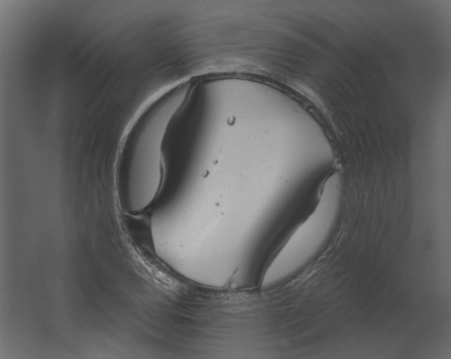 X0000067491120200604211652