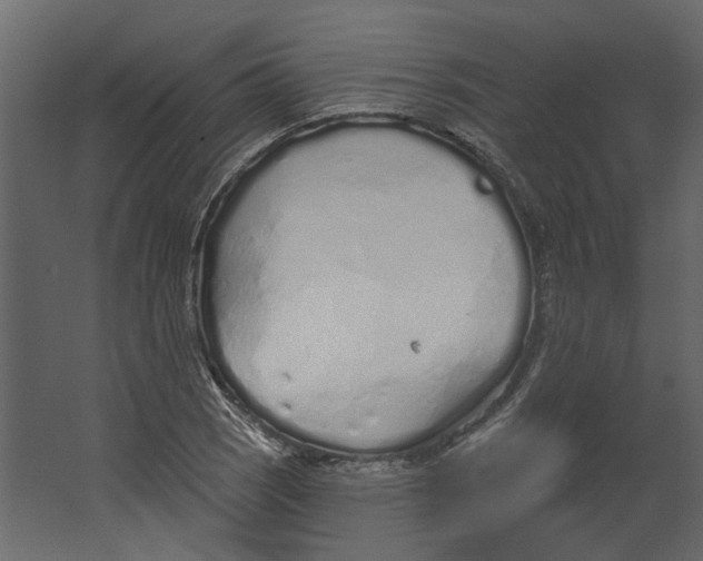 X0000067491121200604211652