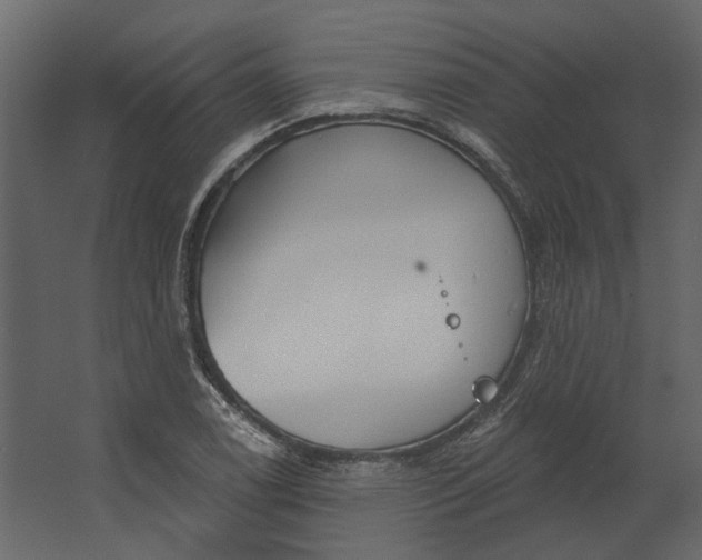 X0000067491122200604211652