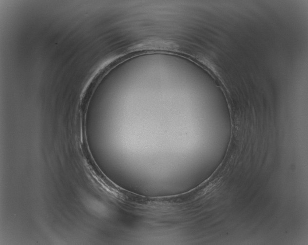 X0000067491123200604211652