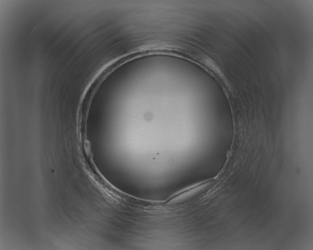 X0000067491124200604211652