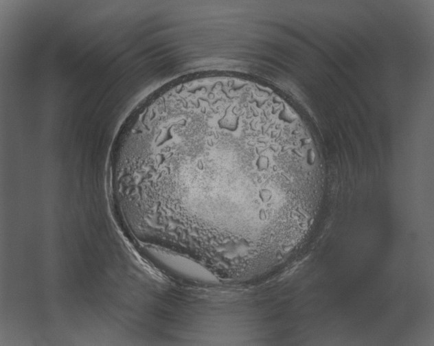 X0000067491125200604211652