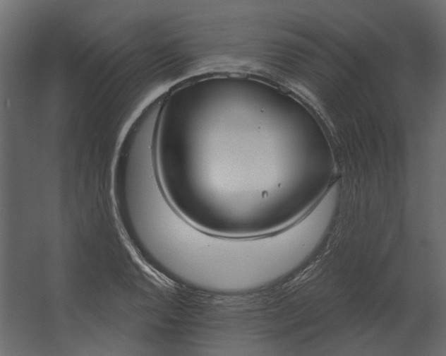 X0000067491128200604211652