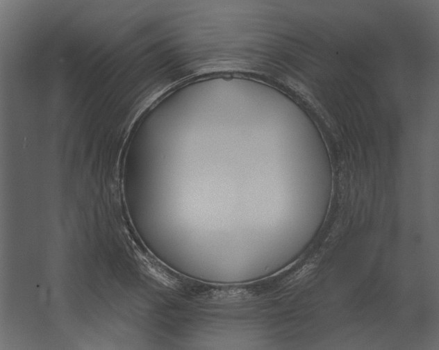 X0000067491129200604211652