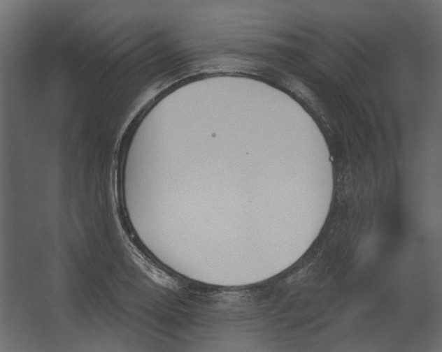 X0000067491130200604211652