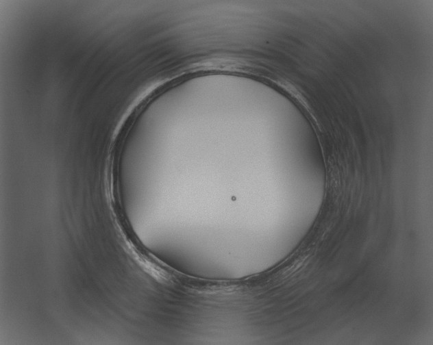 X0000067491131200604211652