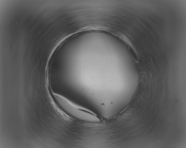 X0000067491132200604211652