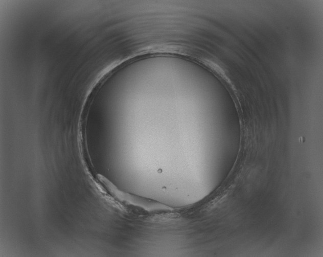 X0000067491133200604211652