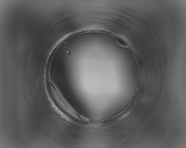 X0000067491134200604211652