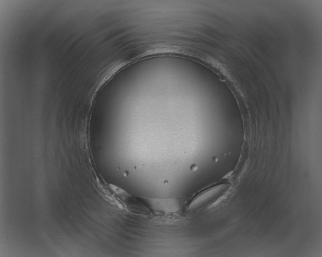 X0000067491137200604211652