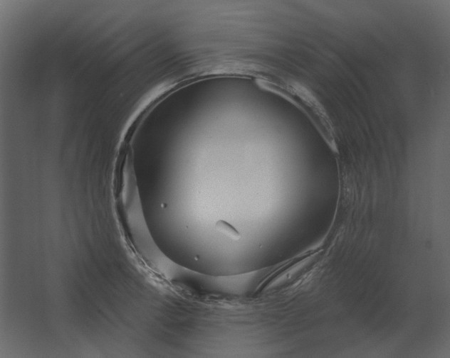 X0000067491138200604211652