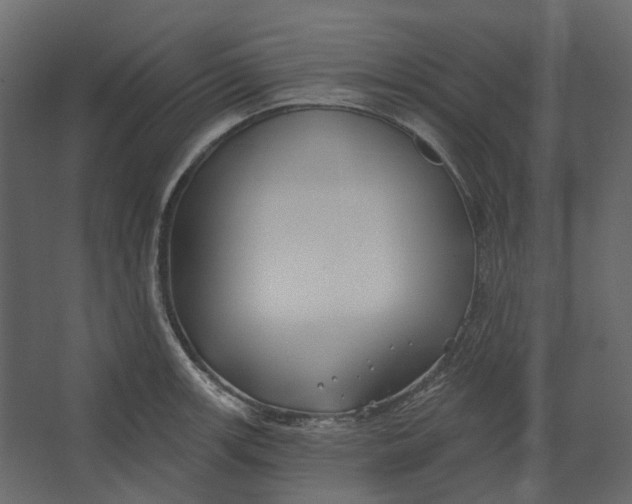 X0000067491139200604211652