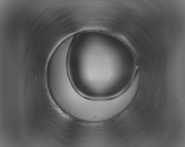 X0000067491140200604211652