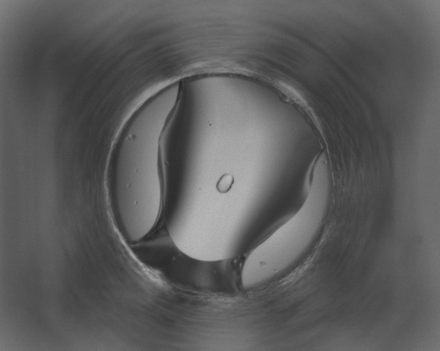 X0000067491141200604211652