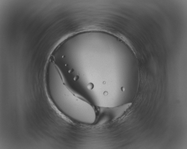 X0000067491142200604211652