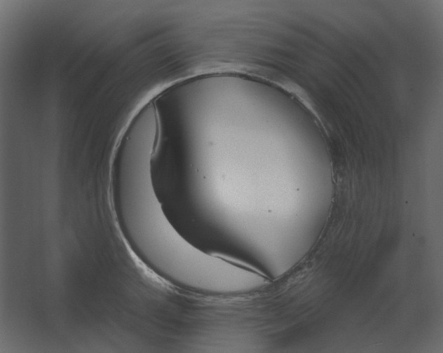 X0000067491143200604211652