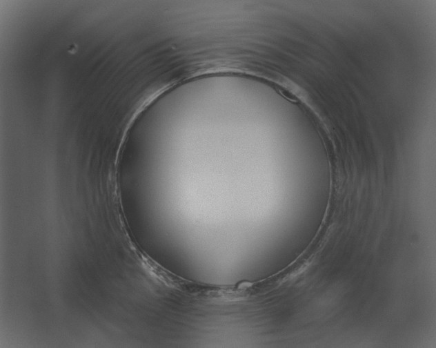 X0000067491145200604211652