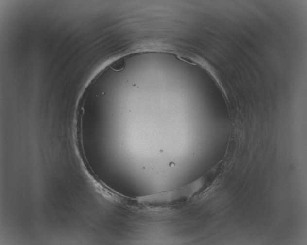 X0000067491147200604211652