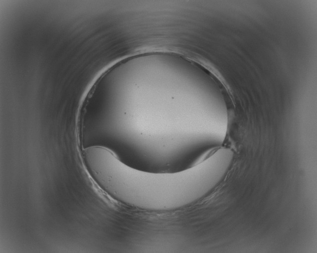 X0000067491148200604211652