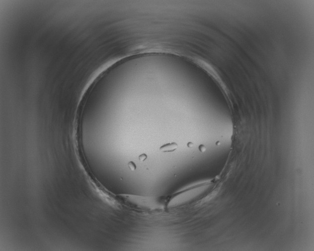 X0000067491149200604211652