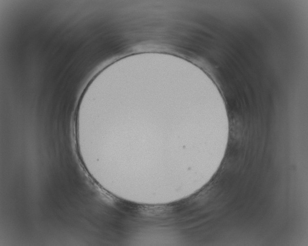 X0000067491150200604211652