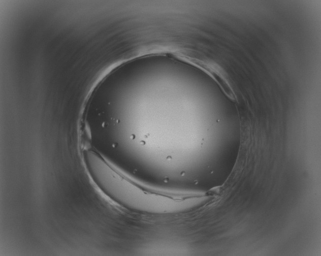 X0000067491151200604211652