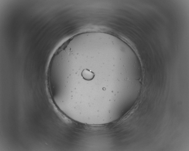 X0000067491152200604211652