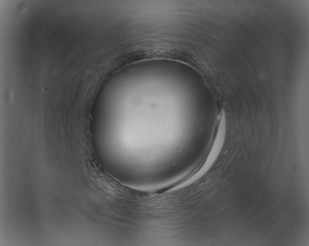 X0000067491153200604211651