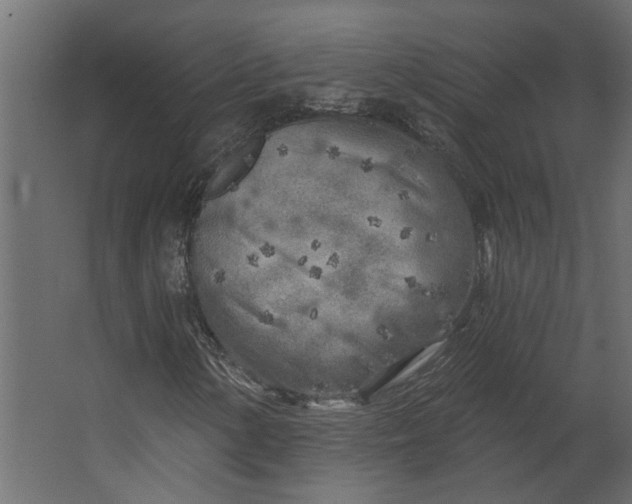 X0000067491154200604211651