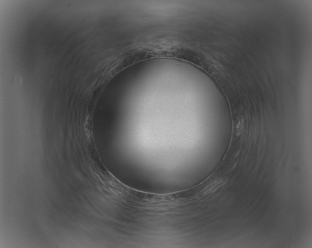 X0000067491156200604211651