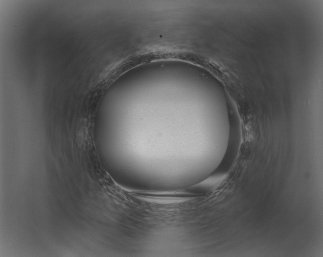 X0000067491157200604211651