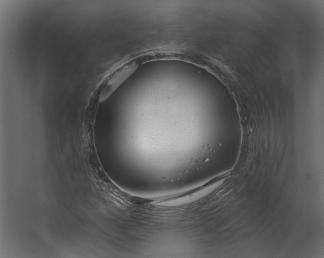 X0000067491160200604211651