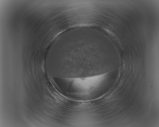 X0000067491161200604211651