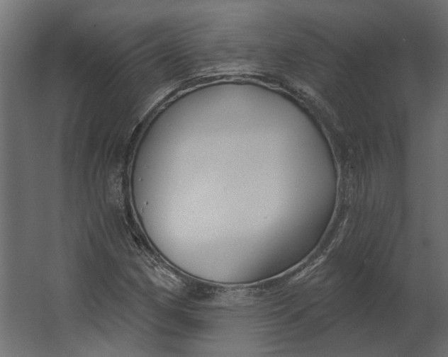 X0000067491162200604211651