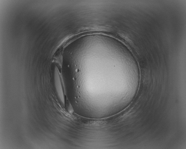 X0000067491163200604211651