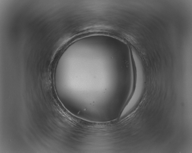 X0000067491164200604211651