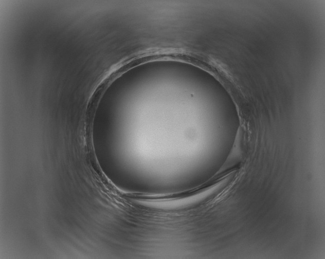 X0000067491165200604211651