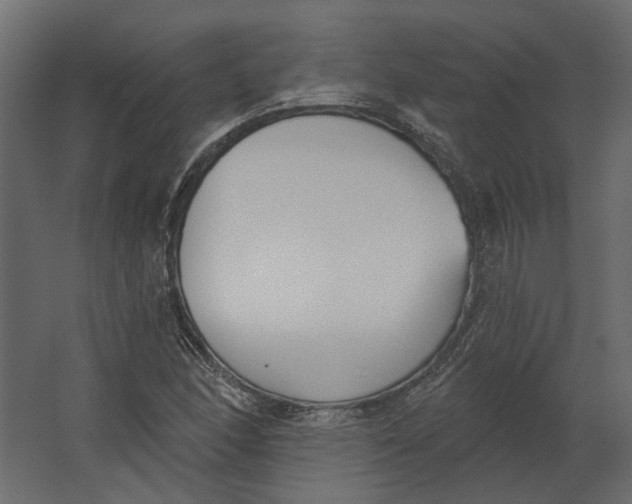 X0000067491166200604211651