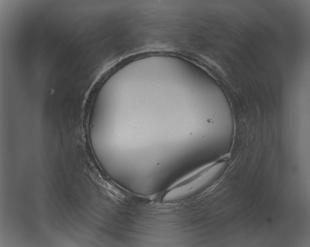 X0000067491168200604211651