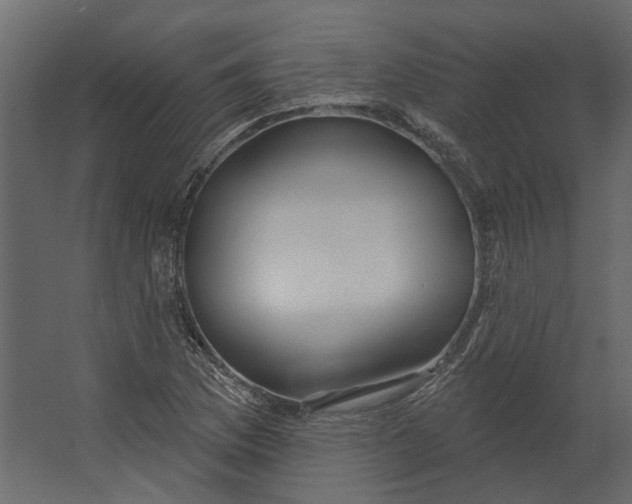 X0000067491169200604211651