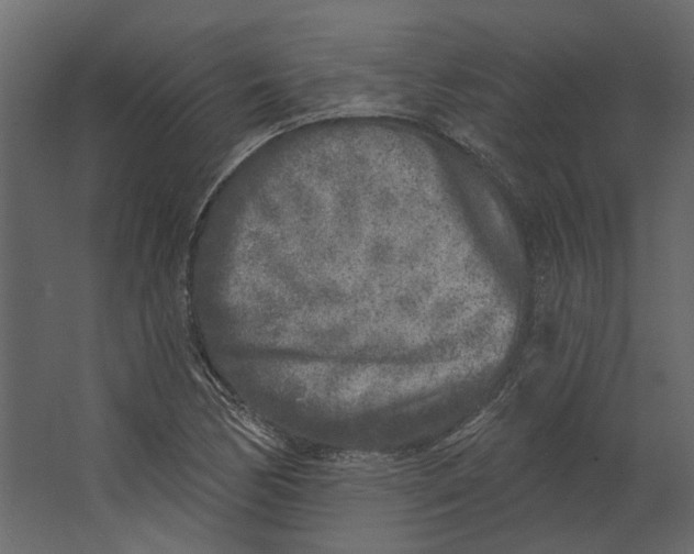 X0000067491170200604211651