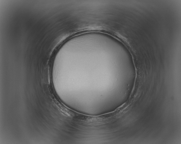 X0000067491171200604211651