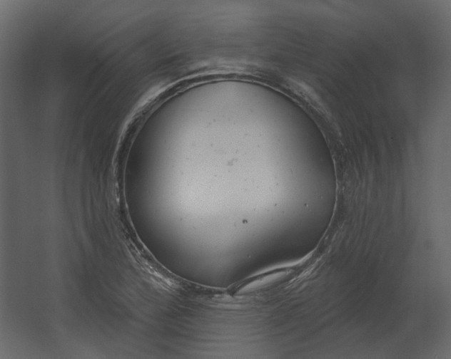 X0000067491172200604211651