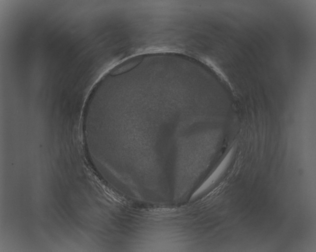 X0000067491173200604211651