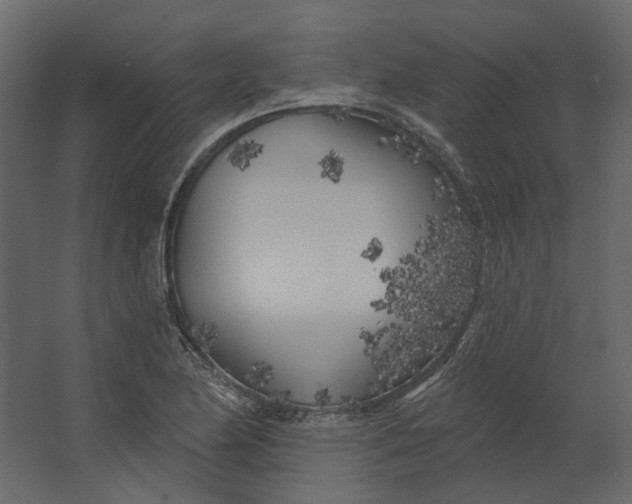 X0000067491174200604211651