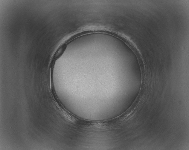 X0000067491175200604211651